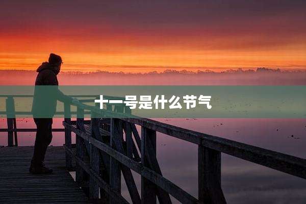 十一号是什么节气