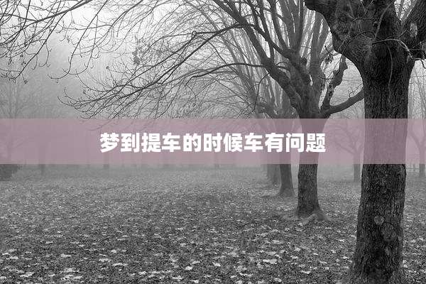 梦到提车的时候车有问题