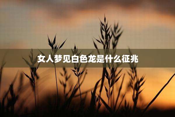女人梦见白色龙是什么征兆