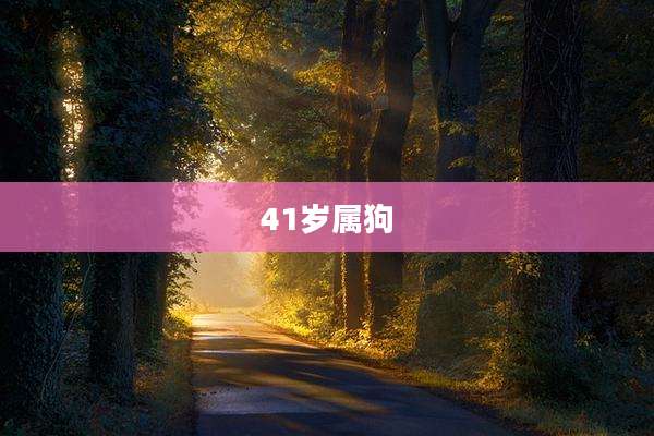 41岁属狗