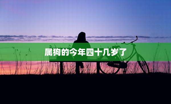 属狗的今年四十几岁了