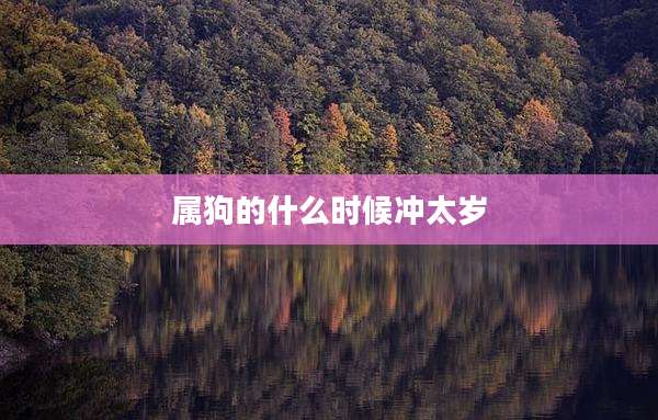 属狗的什么时候冲太岁