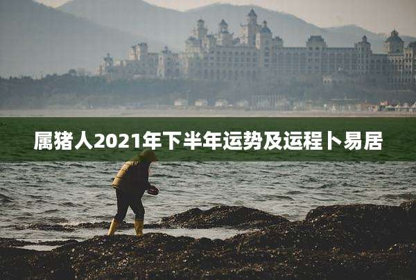 属猪人2021年下半年运势及运程卜易居