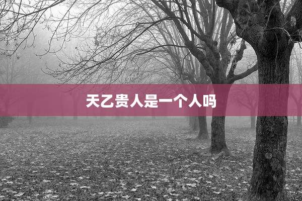 天乙贵人是一个人吗