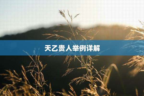 天乙贵人举例详解