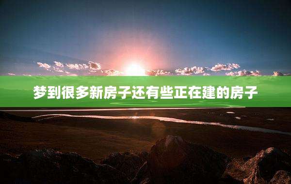 梦到很多新房子还有些正在建的房子
