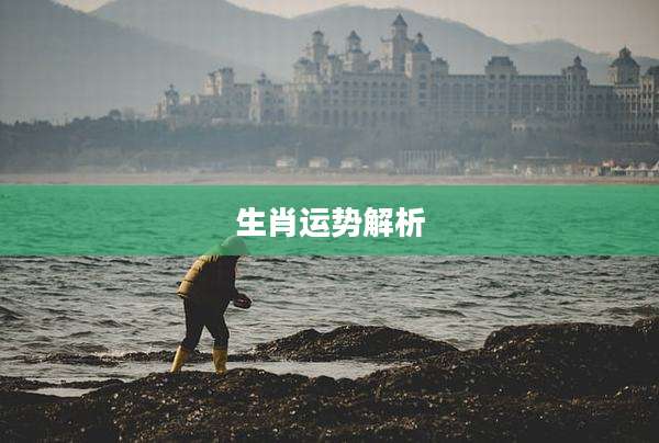 生肖运势解析