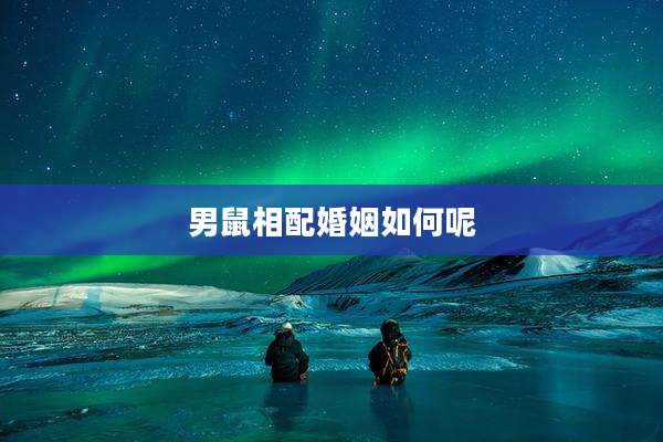 男鼠相配婚姻如何呢