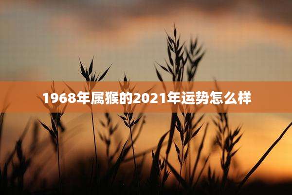 1968年属猴的2021年运势怎么样