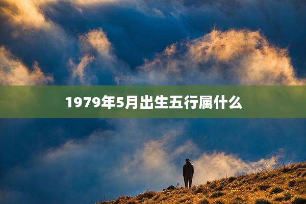 1979年5月出生五行属什么