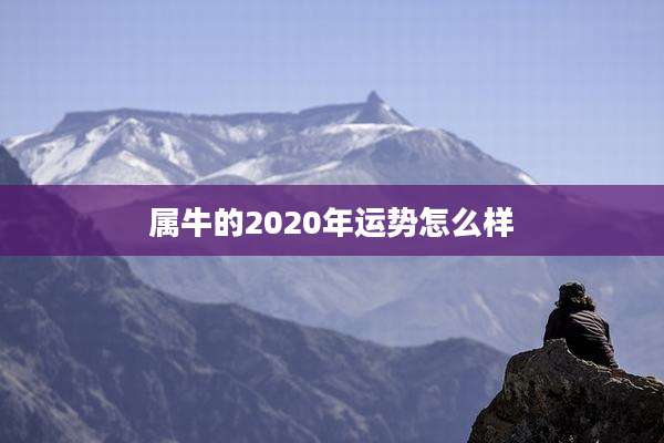 属牛的2020年运势怎么样