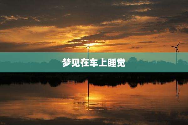 梦见在车上睡觉