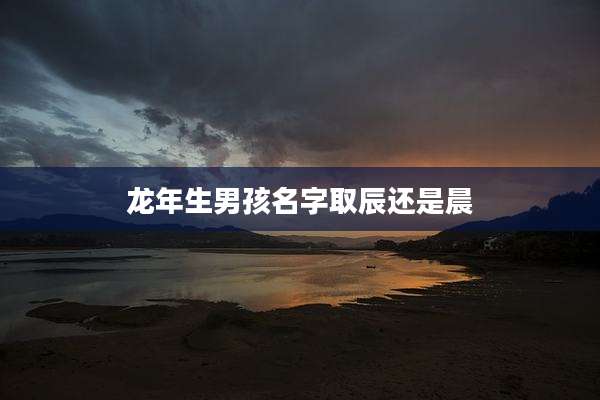 龙年生男孩名字取辰还是晨