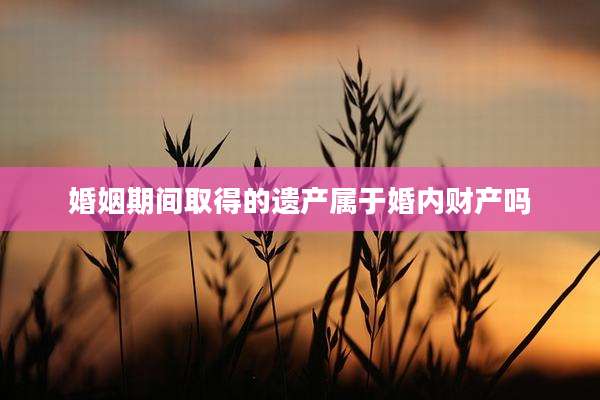 婚姻期间取得的遗产属于婚内财产吗