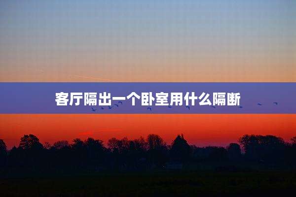 客厅隔出一个卧室用什么隔断