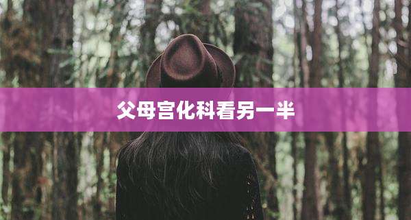 父母宫化科看另一半