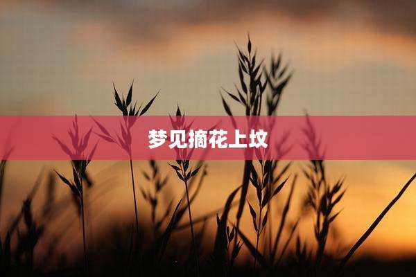 梦见摘花上坟