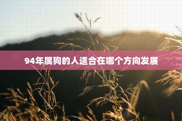 94年属狗的人适合在哪个方向发展