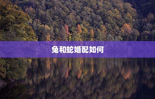 兔和蛇婚配如何