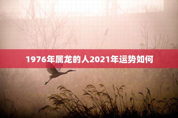 1976年属龙的人2021年运势如何