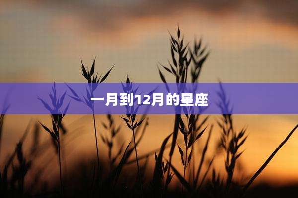 一月到12月的星座