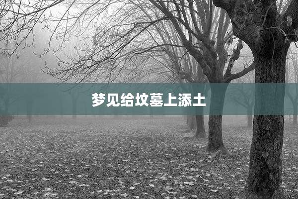 梦见给坟墓上添土