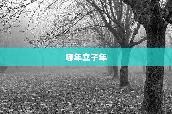 哪年立子年