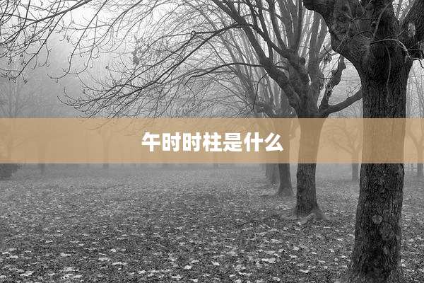 午时时柱是什么