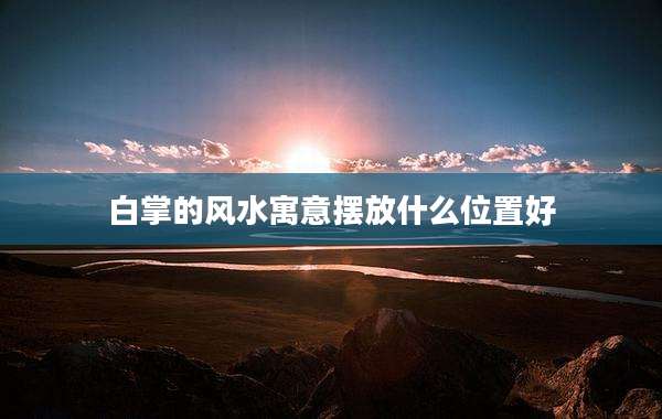 白掌的风水寓意摆放什么位置好