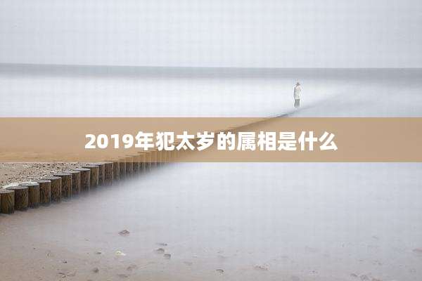 2019年犯太岁的属相是什么