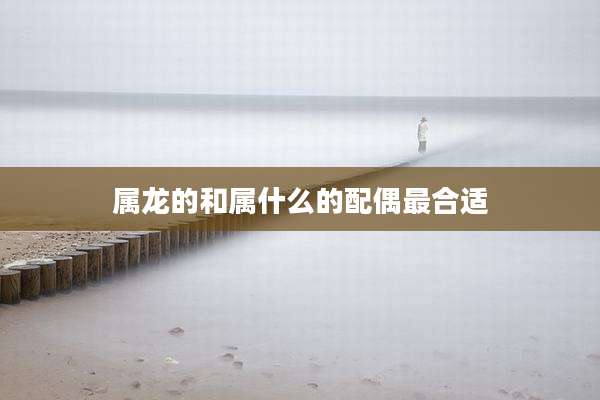 属龙的和属什么的配偶最合适