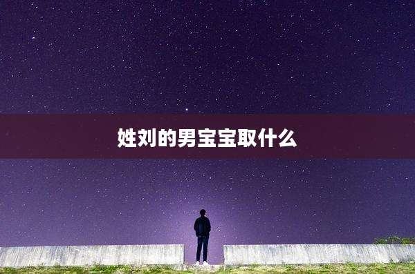 姓刘的男宝宝取什么