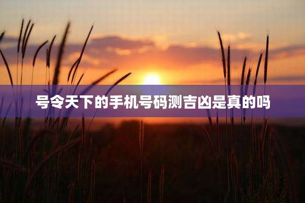 号令天下的手机号码测吉凶是真的吗