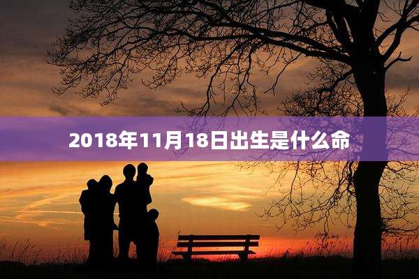 2018年11月18日出生是什么命