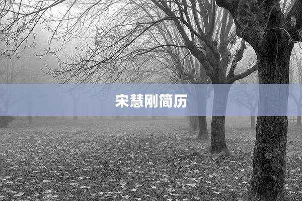 宋慧刚简历
