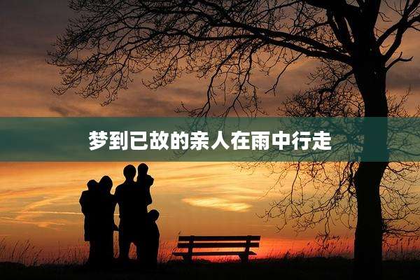 梦到已故的亲人在雨中行走