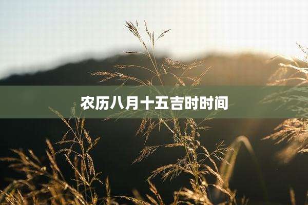 农历八月十五吉时时间