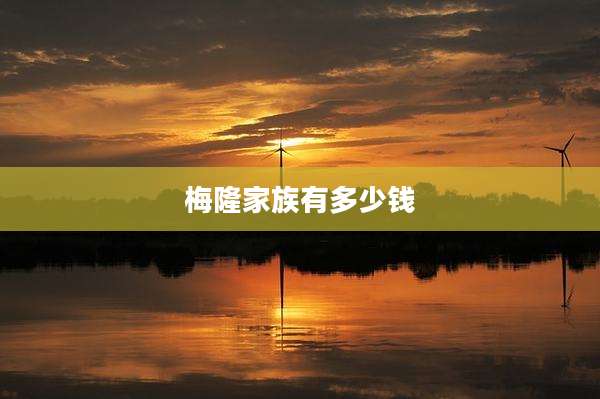 梅隆家族有多少钱
