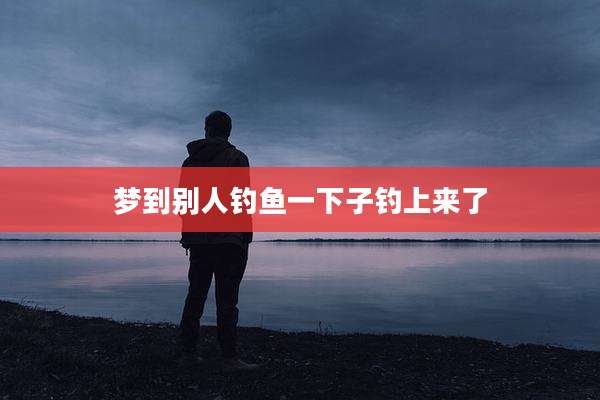 梦到别人钓鱼一下子钓上来了