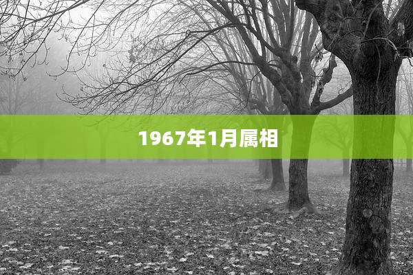 1967年1月属相