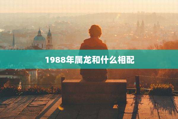 1988年属龙和什么相配