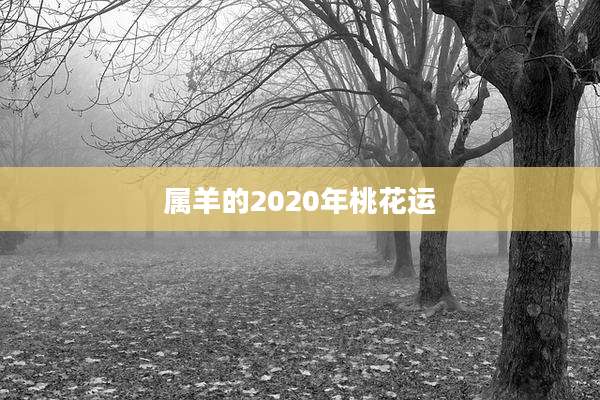 属羊的2020年桃花运