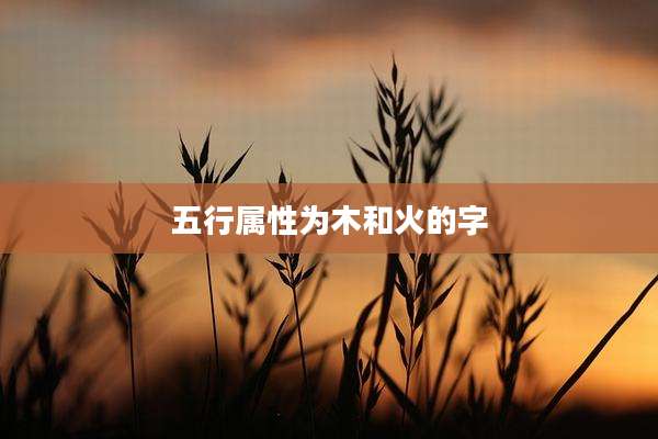 五行属性为木和火的字