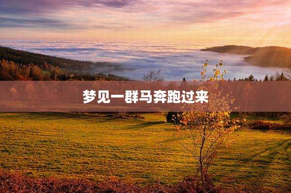梦见一群马奔跑过来