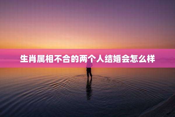 生肖属相不合的两个人结婚会怎么样