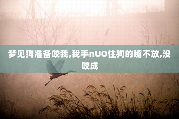 梦见狗准备咬我,我手nUO住狗的嘴不放,没咬成