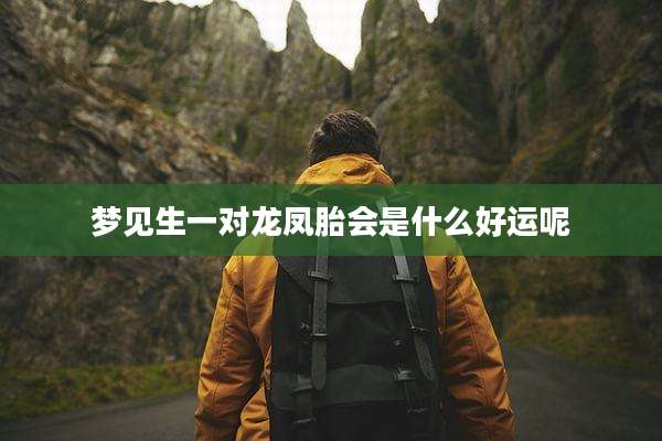 梦见生一对龙凤胎会是什么好运呢