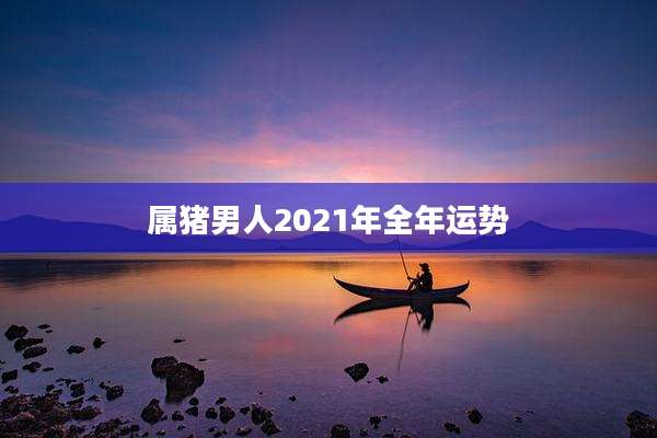 属猪男人2021年全年运势