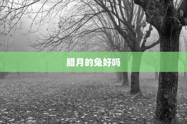 腊月的兔好吗