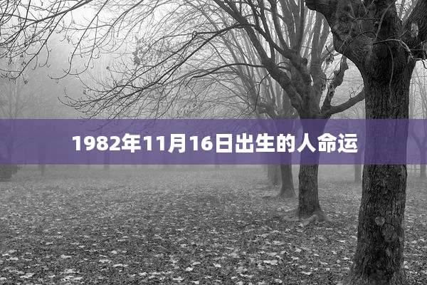 1982年11月16日出生的人命运